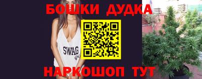 МДПВ Канаш