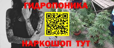 МДПВ Канаш