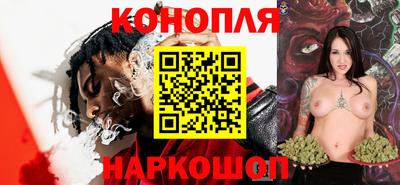 ECSTASY Камышлов