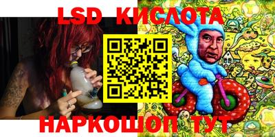 ECSTASY Камышлов