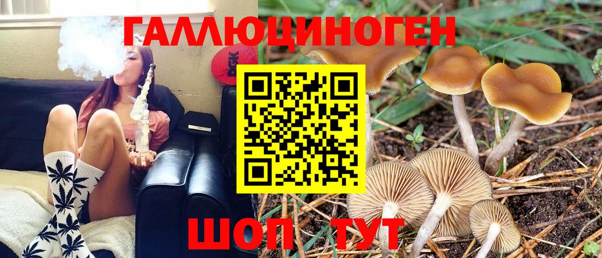 Псилоцибиновые грибы мухоморы  Вход с VPN  цены наркотик  Кубинка 