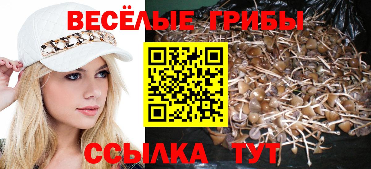 Псилоцибиновые грибы мицелий Кубинка